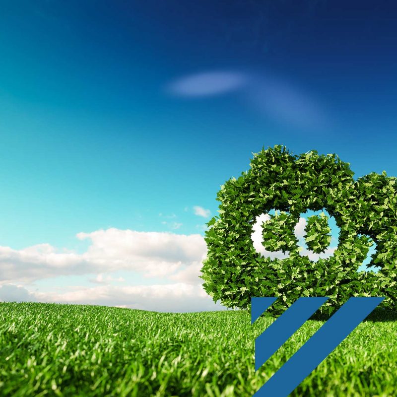 Nachhaltig Co2 Baum